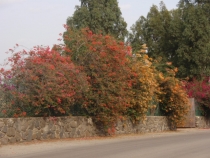 Израиль в конце октября: Иерусалим-Мертвое море-Тверия-Хайфа-Тель-Авив (25.10-07.11.2013)