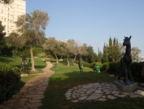 Израиль в конце октября: Иерусалим-Мертвое море-Тверия-Хайфа-Тель-Авив (25.10-07.11.2013)