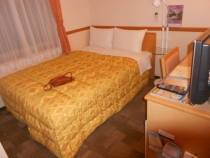 В погоне за сакурой, апрель 2013