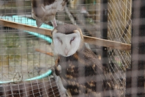 Манила-Корон-ЭльНидо-Панглао-Бохол-Себу-Боракай (Новый Год Январь 2013)