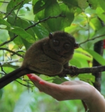 Манила-Корон-ЭльНидо-Панглао-Бохол-Себу-Боракай (Новый Год Январь 2013)