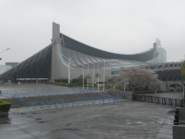 В погоне за сакурой, апрель 2013