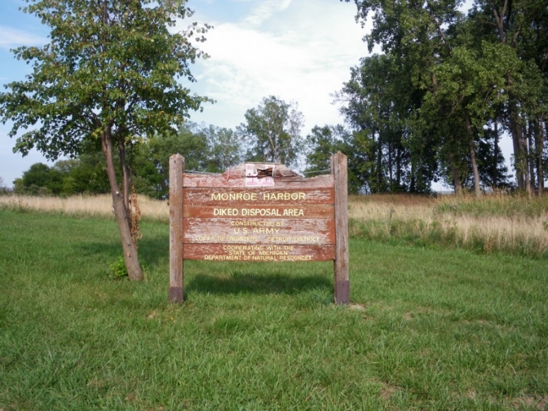 Детройт и окрестности, 2012.