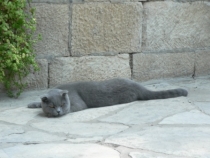 Израиль в конце октября: Иерусалим-Мертвое море-Тверия-Хайфа-Тель-Авив (25.10-07.11.2013)