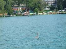 Австрия, Klopeiner See.