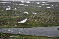 На кемпере в Норвегию (во второй раз) июль 2012