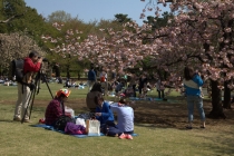 Япония, 3—16 Апреля