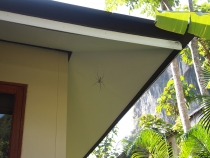 Krabi: Railay Phutawan Resort