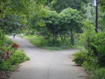 Филиппины (17.11.13-07.12.13): Manila,Bohol,Cebu,Camiguin