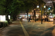 Япония. Вредные советы (Осака-Киото-Токио. Апрель 2013)