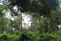 Мой первый долгожданный самоход в Тайланд Пукет-Пи-Пи-Краби-Бангкок