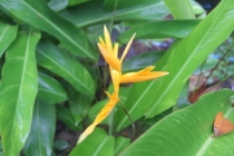 Мой первый долгожданный самоход в Тайланд Пукет-Пи-Пи-Краби-Бангкок