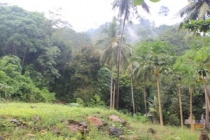 Мой первый долгожданный самоход в Тайланд Пукет-Пи-Пи-Краби-Бангкок