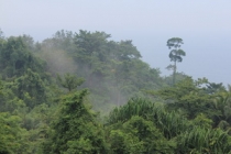 Мой первый долгожданный самоход в Тайланд Пукет-Пи-Пи-Краби-Бангкок