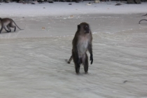 Мой первый долгожданный самоход в Тайланд Пукет-Пи-Пи-Краби-Бангкок