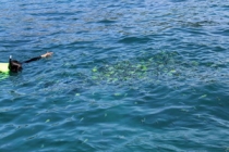 Мой первый долгожданный самоход в Тайланд Пукет-Пи-Пи-Краби-Бангкок