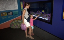 Мечты сбываются или небольшое путешествие: Паттайя-Ко-Чанг-Ко-Мак–Бангкок. Путевые заметки