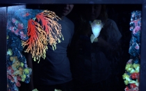 Мечты сбываются или небольшое путешествие: Паттайя-Ко-Чанг-Ко-Мак–Бангкок. Путевые заметки