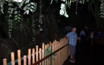 Мечты сбываются или небольшое путешествие: Паттайя-Ко-Чанг-Ко-Мак–Бангкок. Путевые заметки