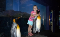 Мечты сбываются или небольшое путешествие: Паттайя-Ко-Чанг-Ко-Мак–Бангкок. Путевые заметки