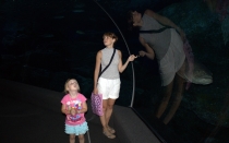 Мечты сбываются или небольшое путешествие: Паттайя-Ко-Чанг-Ко-Мак–Бангкок. Путевые заметки