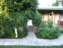 В Турцию на лихом коне!