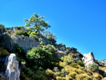 В Турцию на лихом коне!