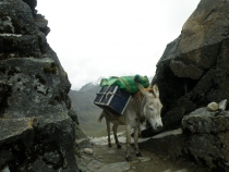 ПЕРУ – успеть за две недели. 8.12.2013 – 22.12.2013.