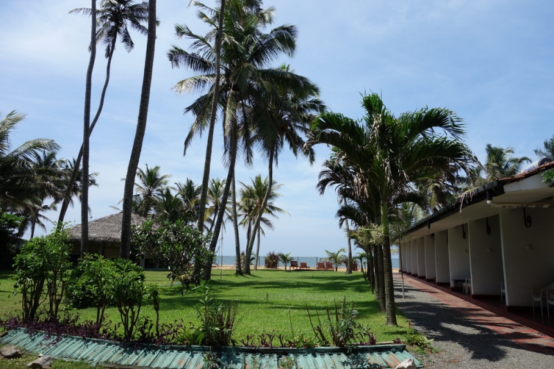 Шри-Ланка незабываемые 2 недели на машине по острову (гесты, цены, интересные места)