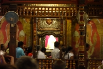 Шри-Ланка незабываемые 2 недели на машине по острову (гесты, цены, интересные места)