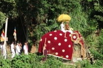 Шри-Ланка незабываемые 2 недели на машине по острову (гесты, цены, интересные места)