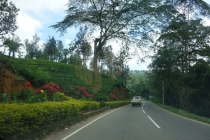 Шри-Ланка незабываемые 2 недели на машине по острову (гесты, цены, интересные места)