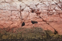 ПЕРУ – успеть за две недели. 8.12.2013 – 22.12.2013.