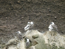 ПЕРУ – успеть за две недели. 8.12.2013 – 22.12.2013.