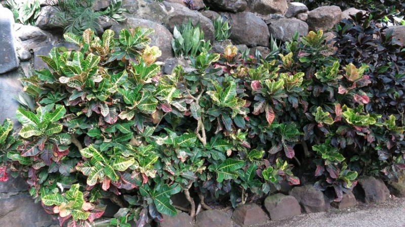 Солнечный и теплый октябрьский Лиссабон, сказочная Синтра, могущественный океан