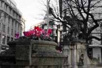 Место встречи изменить нельзя. Дюссельдорф.