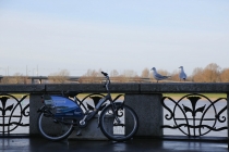 Место встречи изменить нельзя. Дюссельдорф.