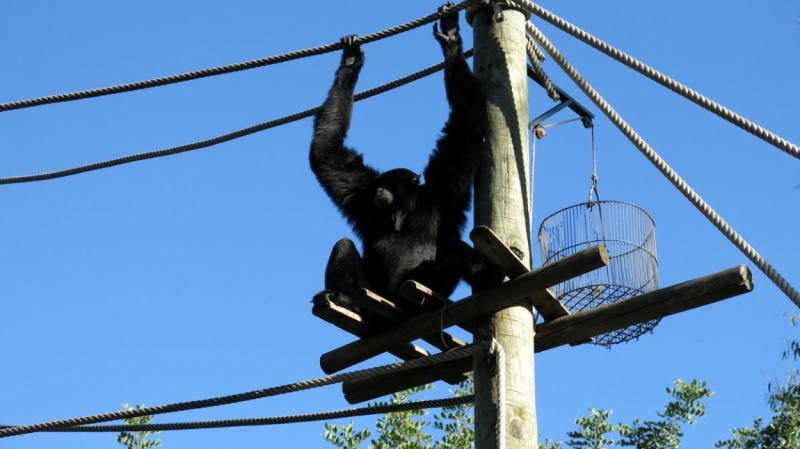 Солнечный и теплый октябрьский Лиссабон, сказочная Синтра, могущественный океан