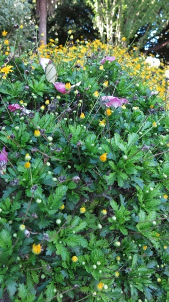 Солнечный и теплый октябрьский Лиссабон, сказочная Синтра, могущественный океан