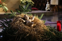 Место встречи изменить нельзя. Дюссельдорф.