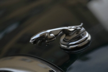 Место встречи изменить нельзя. Дюссельдорф.