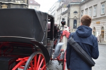 Австрия+кусочек Баварии без авто. Октябрь 2013. Вена-Мюнхен-Зальцбург-Зальцкаммергут-Вена