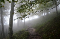 Австрия+кусочек Баварии без авто. Октябрь 2013. Вена-Мюнхен-Зальцбург-Зальцкаммергут-Вена