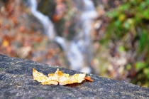 Австрия+кусочек Баварии без авто. Октябрь 2013. Вена-Мюнхен-Зальцбург-Зальцкаммергут-Вена