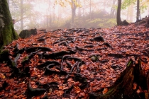 Австрия+кусочек Баварии без авто. Октябрь 2013. Вена-Мюнхен-Зальцбург-Зальцкаммергут-Вена