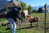 Австрия+кусочек Баварии без авто. Октябрь 2013. Вена-Мюнхен-Зальцбург-Зальцкаммергут-Вена