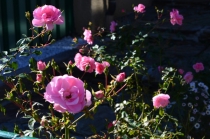 Австрия+кусочек Баварии без авто. Октябрь 2013. Вена-Мюнхен-Зальцбург-Зальцкаммергут-Вена