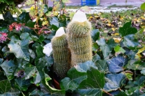 Австрия+кусочек Баварии без авто. Октябрь 2013. Вена-Мюнхен-Зальцбург-Зальцкаммергут-Вена