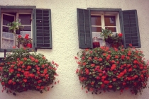 Австрия+кусочек Баварии без авто. Октябрь 2013. Вена-Мюнхен-Зальцбург-Зальцкаммергут-Вена