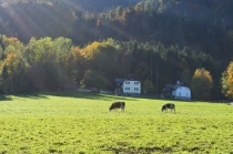 Австрия+кусочек Баварии без авто. Октябрь 2013. Вена-Мюнхен-Зальцбург-Зальцкаммергут-Вена